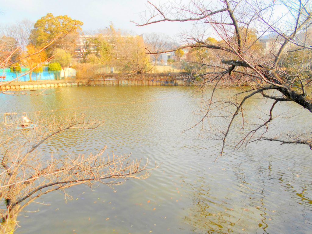 小路明和公園 ため池