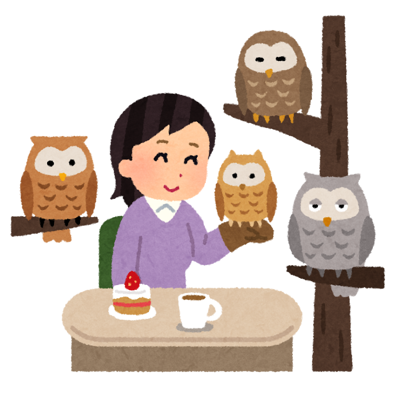 可愛いフクロウと戯れることができるカフェのイラスト ３つの顔を持つ男のブログ